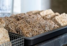 Plodonosna jesen u svetu inovacija – materijali za gradnju budućnosti