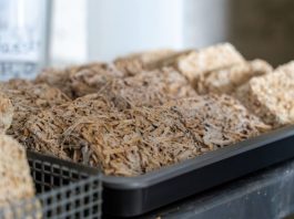 Plodonosna jesen u svetu inovacija – materijali za gradnju budućnosti