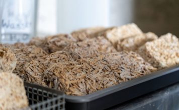 Plodonosna jesen u svetu inovacija – materijali za gradnju budućnosti