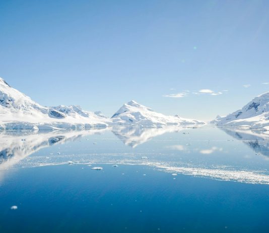 Naučnici iz Crne Gore na međunarodnoj ekspediciji na Antarktik