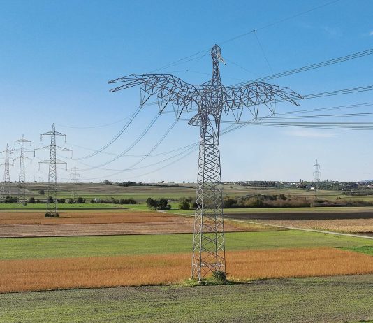 Životinjske skulpture na dalekovodima – inovacija u austrijskoj mreži