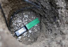 Beč testira pametne senzore za navodnjavanje drveća