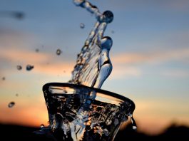 Od biomase do kapljica vode